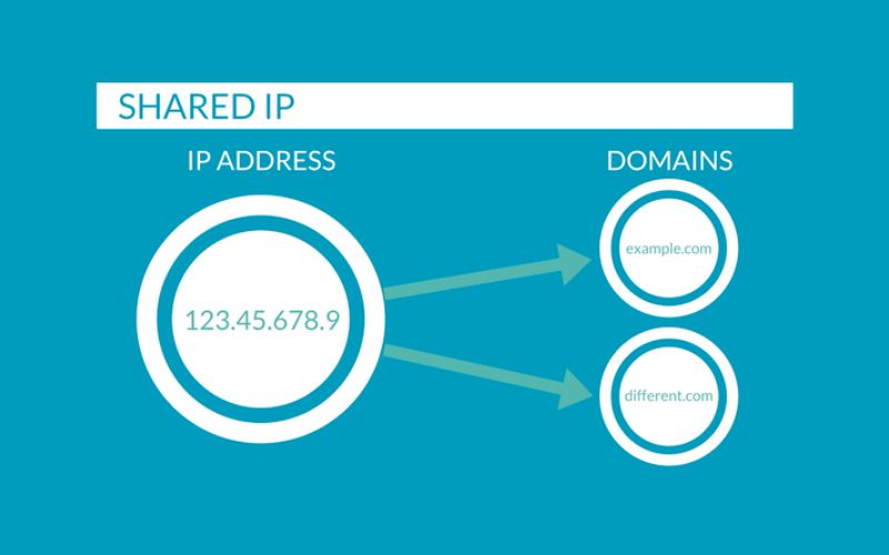Shared IP là gì
