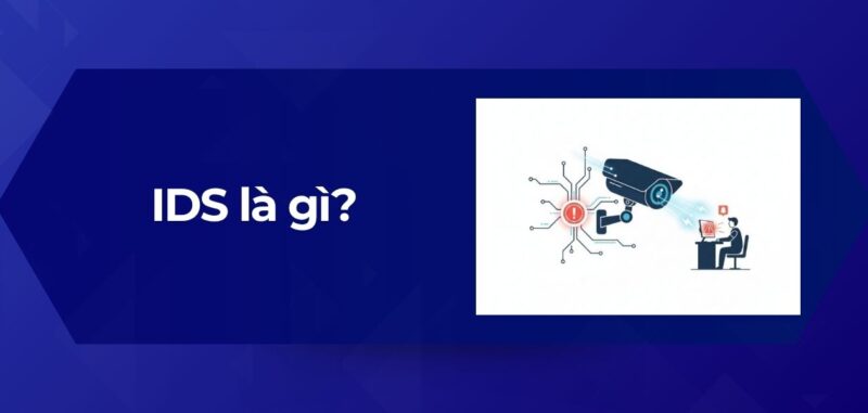 Tổng Quan IDS là gì