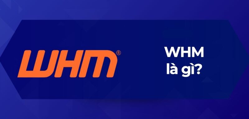 Tổng Quan WHM là gì